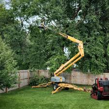 How Our Tree Care Process Works  in  Weston, WI